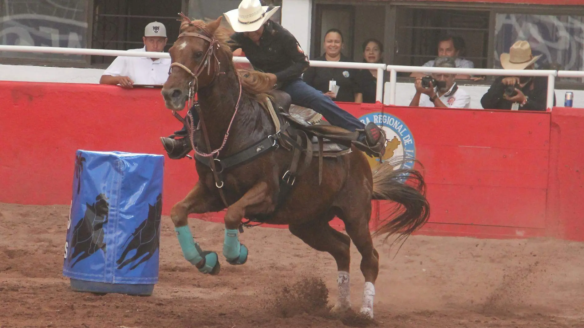 Expo Ganadera Jalisco Oficial